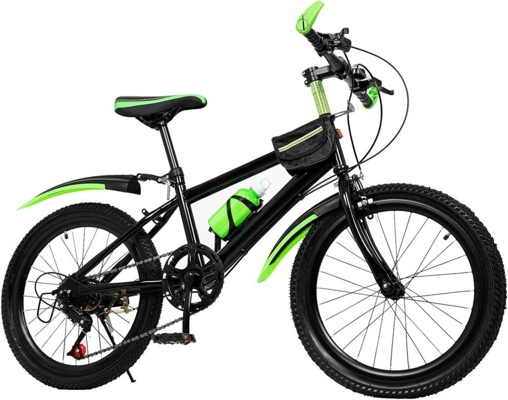 Bicicletta per Bambini da 20 Pollici con Parafango e Accessori Completi