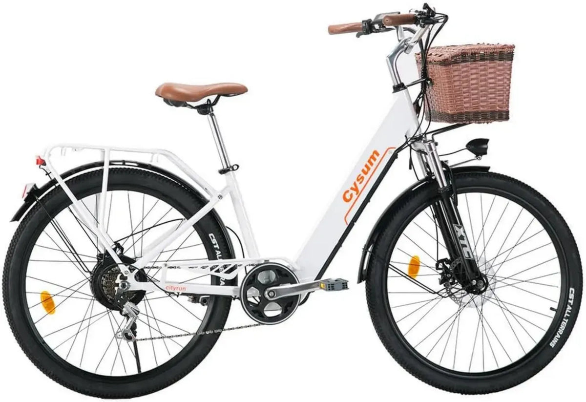 Cityrun Bici Elettrica Donna 26'' con Pedalata Assistita, Motore 250W, Velocità 25 km/h, Batteria 36V al Litio Autonomia 80 km, Display LCD